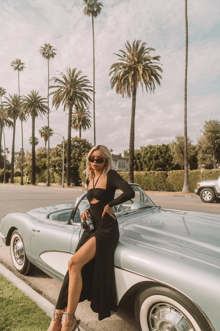 Alamour The Label Norma Dress 4 Alamour The Label Norma Dress