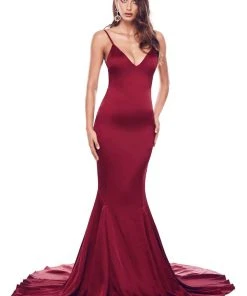 Alamour The Label Tamara - Burgundy Fitted Gowns
