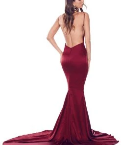 Alamour The Label Tamara - Burgundy Fitted Gowns 5 Alamour The Label Tamara - Burgundy Fitted Gowns